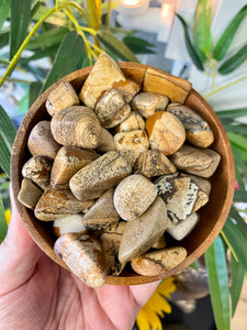 Picture Jasper Tumblestone