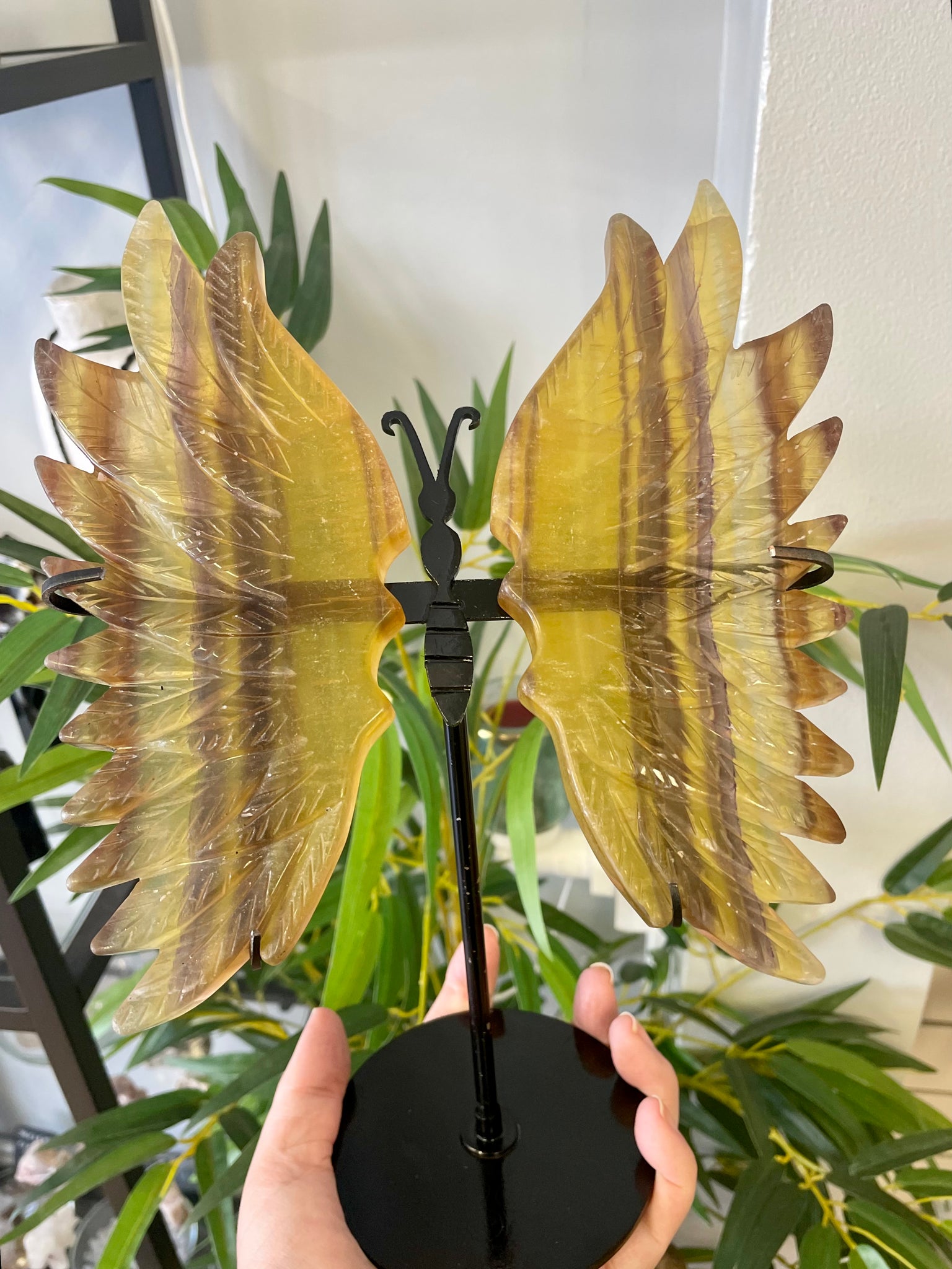 Large fluorite Butterfly Wings with Stand