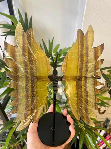 Large fluorite Butterfly Wings with Stand