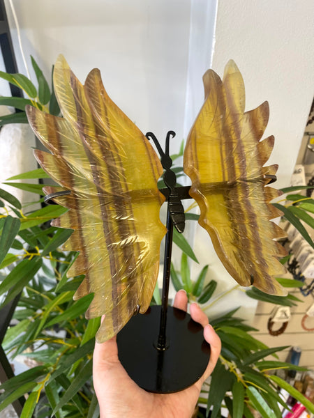 Large fluorite Butterfly Wings with Stand