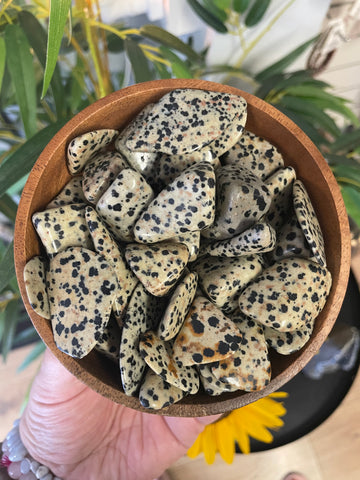 Dalmatian Stone Tumblestone