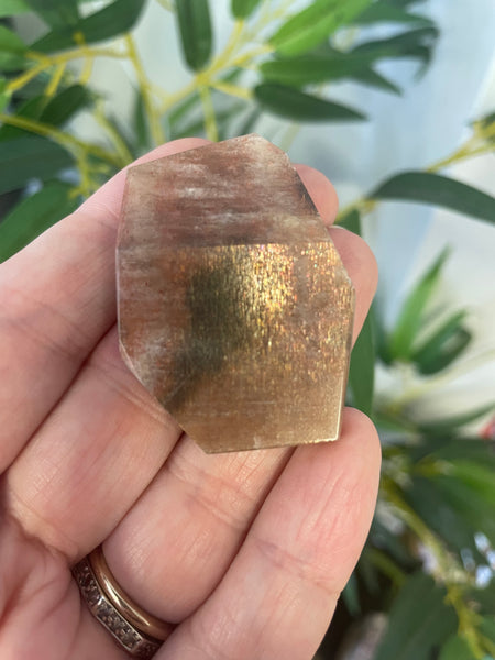 Sunstone Freeform medium