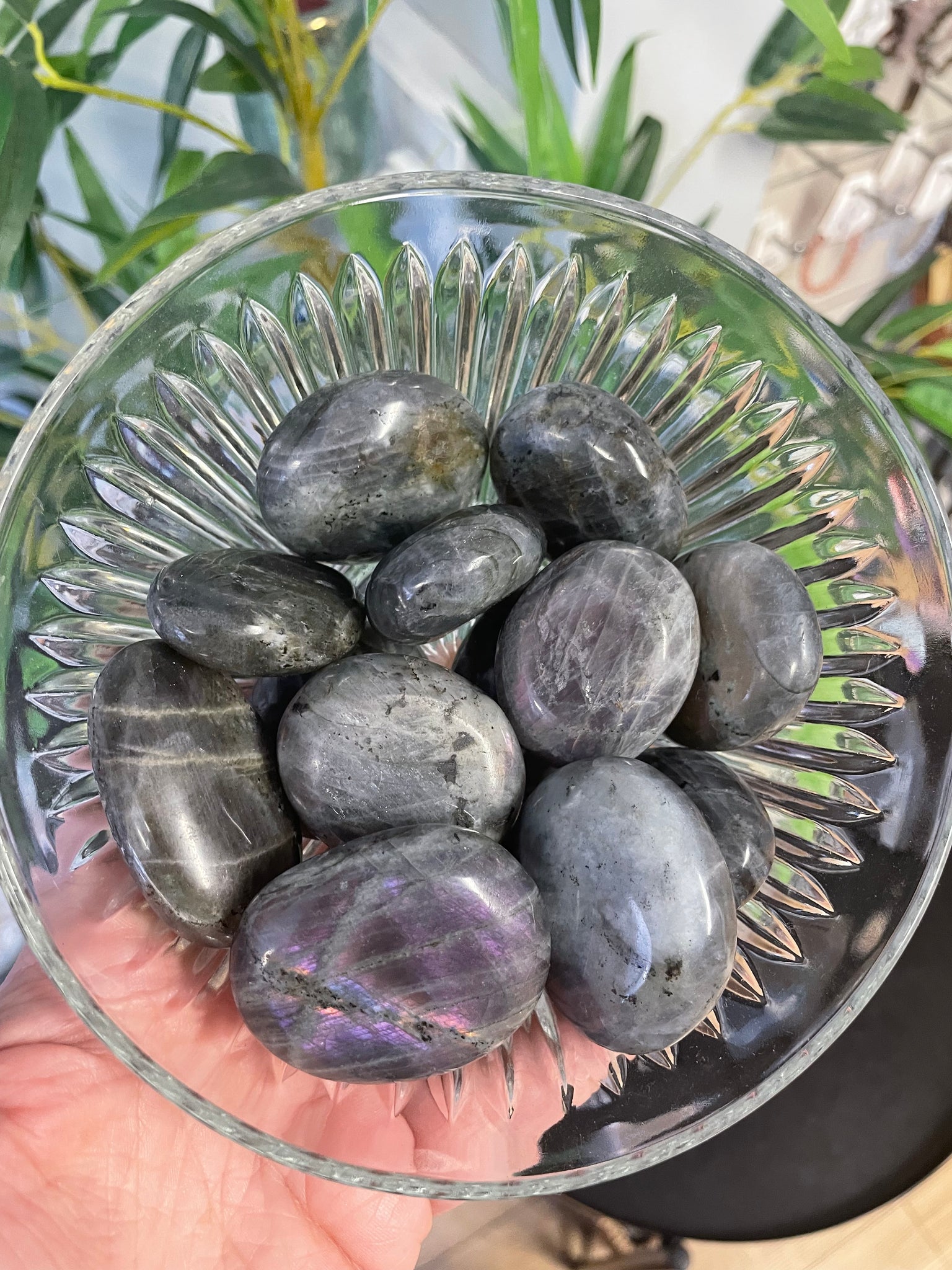 High Quality Labradorite Palms