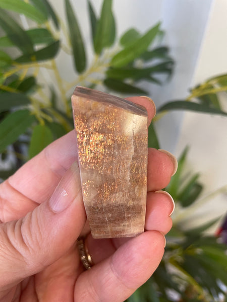 Sunstone Freeform medium