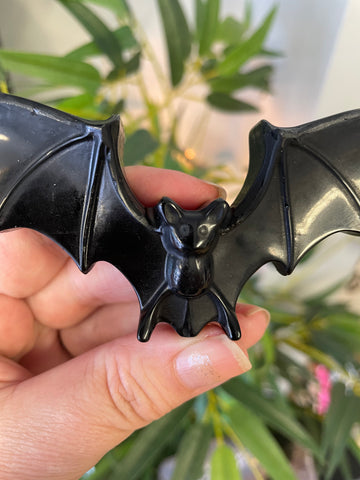Obsidian Bat