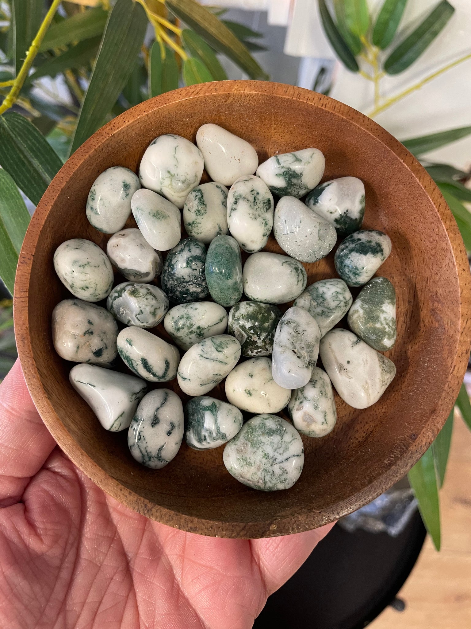 Tree Agate Tumblestone