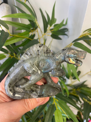 Labradorite Spinosaurus Dinosaur